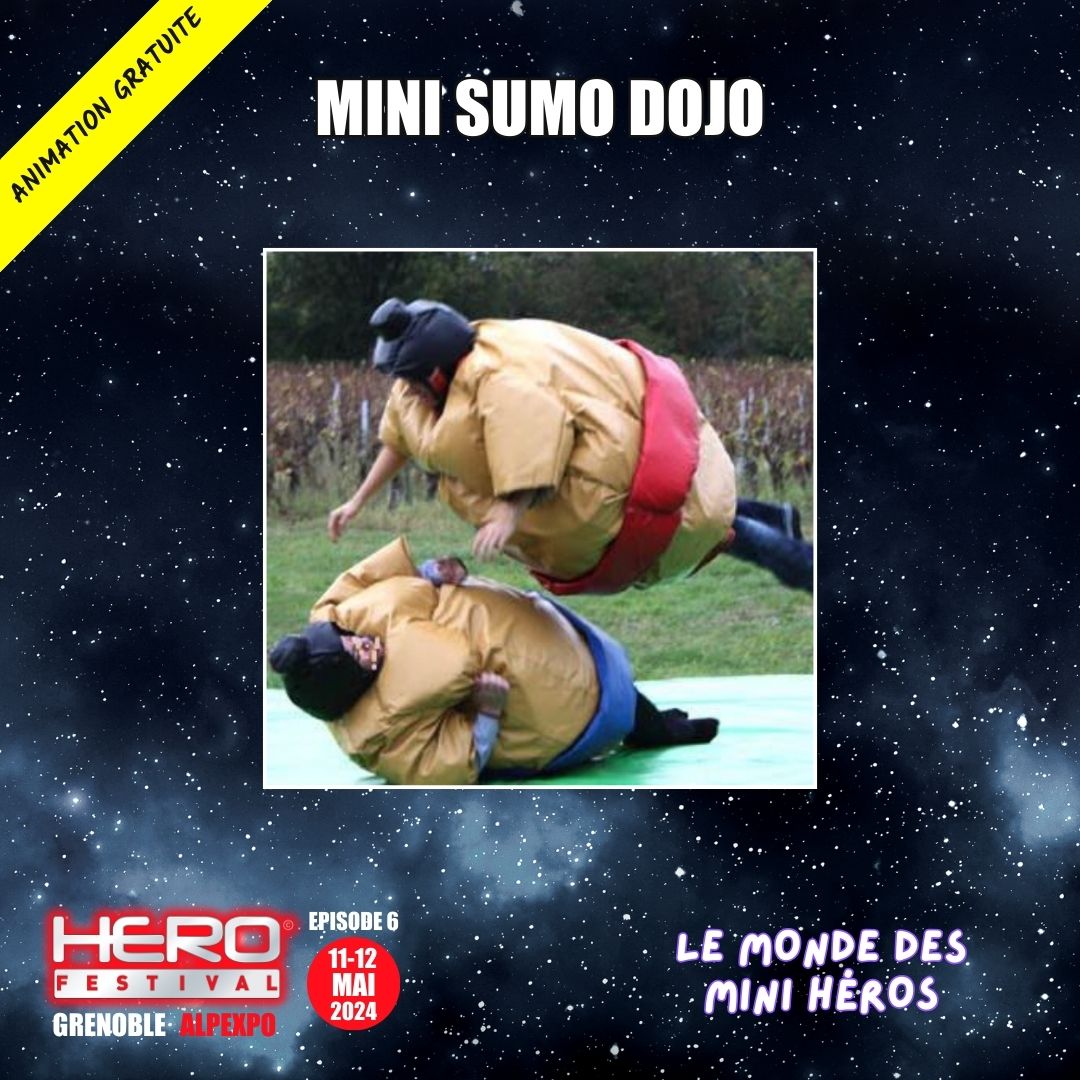 Mini Sumo Dojo