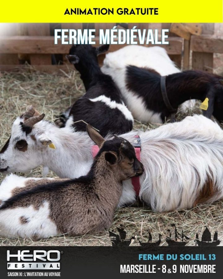 LA FERME DU SOLEIL 13