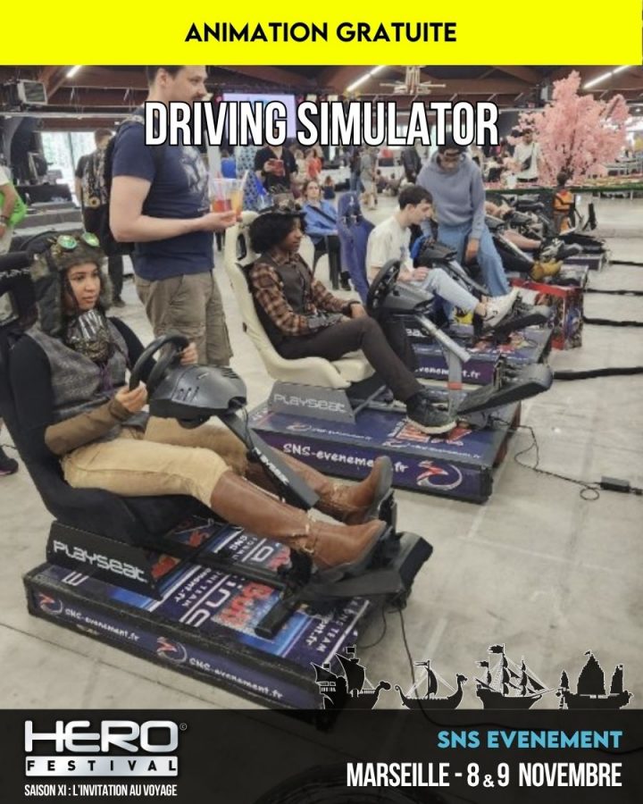 DRIVING SIMULATOR BY SNS